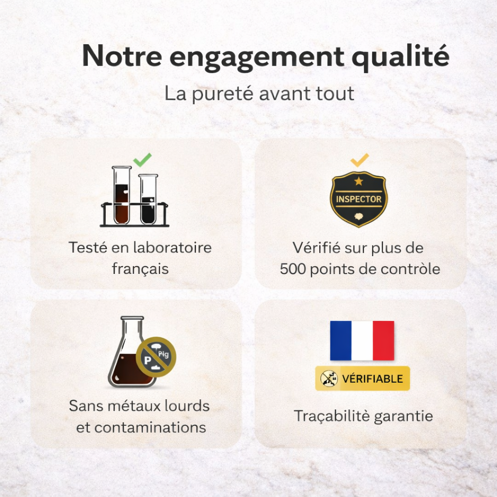 ElixHima — Résine de Shilajit Premium 30g