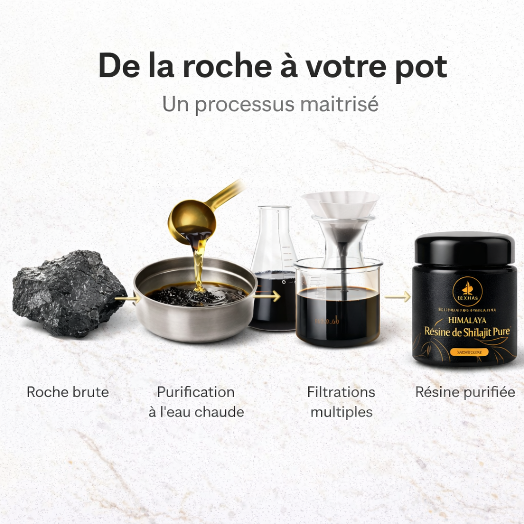 ElixHima — Résine de Shilajit Premium 30g