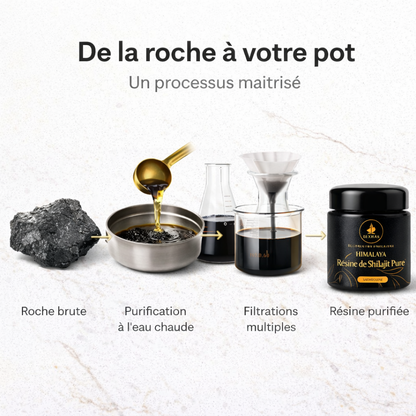 ElixHima — Résine de Shilajit Premium 30g